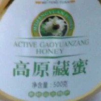 周厚报