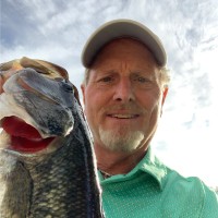 Mark Crabb, Fcdme, Cta