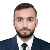 Muhammad Talha Nafees