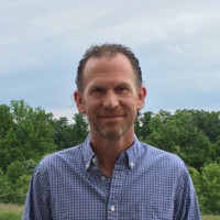 David Whitman