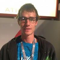 Michael de Witt
