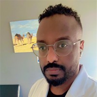 Hisham Alhajj