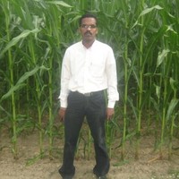 P Jenu