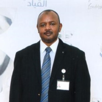Elmoiz Elamin