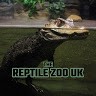 The Reptile Zoo Uk
