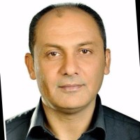 Hamid Nasibi