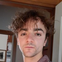 Michele Guardiani