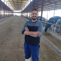 Mojahed Shtayat