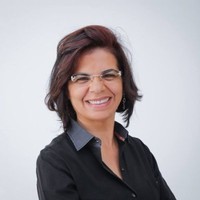 Livro Direção Defensiva