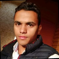 Montaser Fadl
