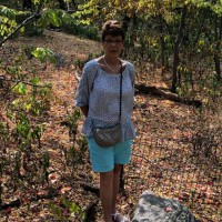 Patty Dobbins