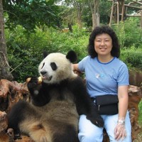 Phyllis Wang