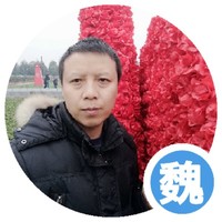 魏志洪