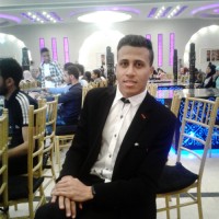Amr Anwar