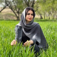 Yasaman Ahmadi