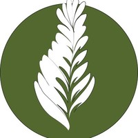 Matcha Mexico
