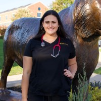 Emily Mertens Bsn, Rn