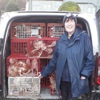 Gaynor Davies