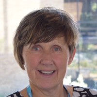 Kim Burrows