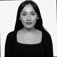 Merve Erdem