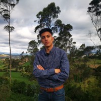 David Oliva