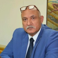 Naser El-Adawy EL ADAWY
