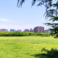 王建宏