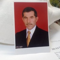 lütfi kaya
