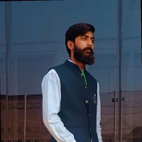 Hamid Raza