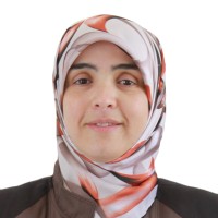 Areej Hussein