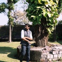Shubham Dwivedi