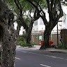 Martín R