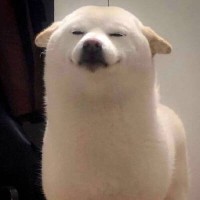 张安妮