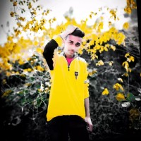 Vividh Sharma