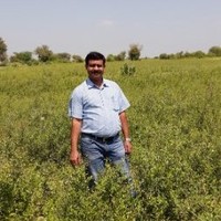 Shajahan M