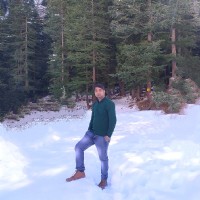 Dhaneesh Dwivedi
