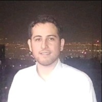 Mohsen Moghiseh