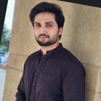 Syed Ali Mehdi
