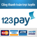 123Pay. Vn