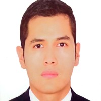 Alex Manuel Hualpa Arango