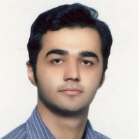 navid motamedi