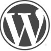 Wordpress Developer