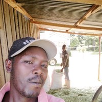 Elvis Korir