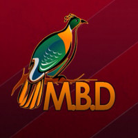 MBD GROUPS INC.