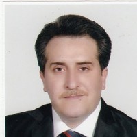 Mohamad Reza Ghamari