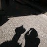 楊璧慧