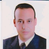 Mohamed Elnagar