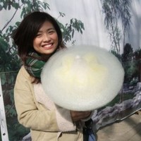 Carmen Lam