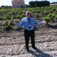 Rolf Holly, CSW, WSET 3