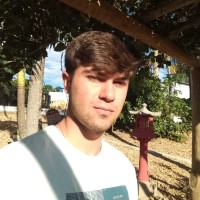 Felipe Bertão Bastoni